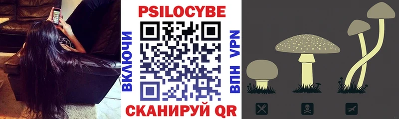 гидра онион  Называевск  Псилоцибиновые грибы прущие грибы 
