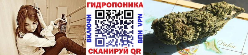 площадка как зайти Называевск Конопля план цены наркотик